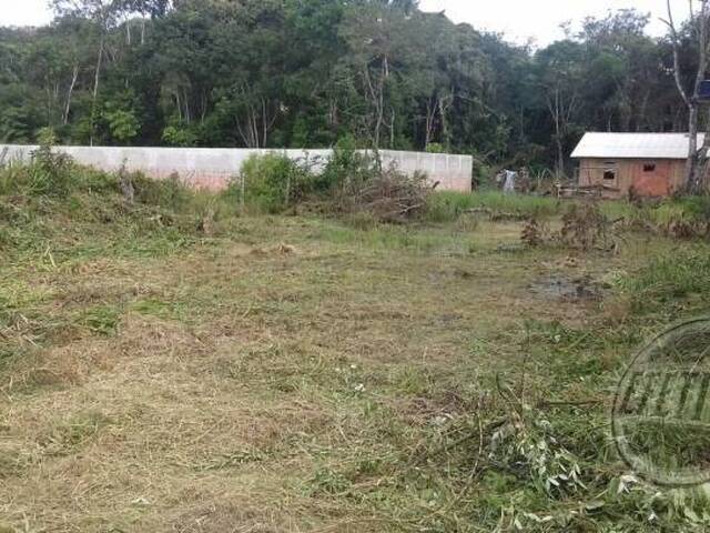Terreno para Venda em Nereidas - 8