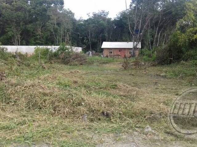 Terreno para Venda em Nereidas - 9