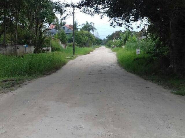 Terreno para Venda em Nereidas - 10
