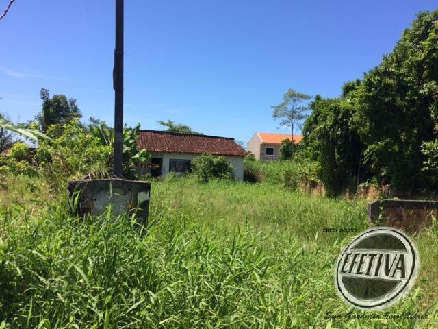 Terreno para Venda em Guaratuba - 4