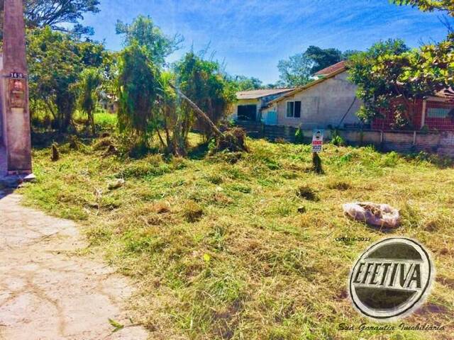 Área para Venda em Guaratuba - 4