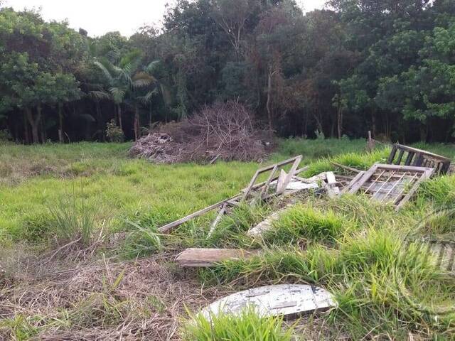 Terreno para Venda em Thomaz Coelho - 19