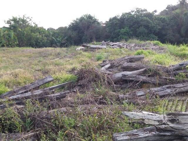 Terreno para Venda em Thomaz Coelho - 21