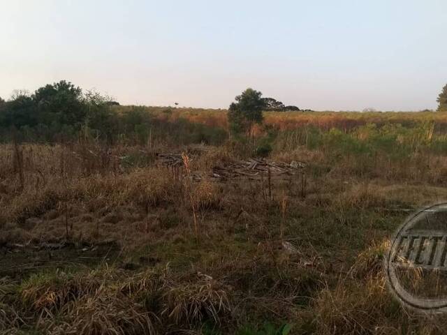 Terreno para Venda em Thomaz Coelho - 18