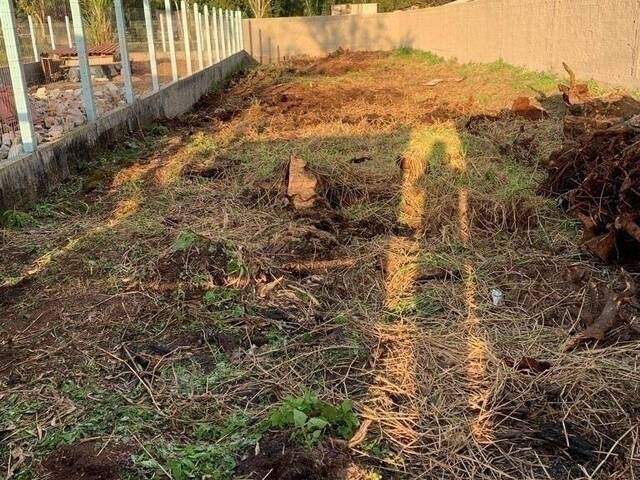 #1004T - Terreno para Venda em Guaratuba - PR - 2