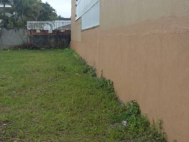 Terreno para Venda em Brejatuba - 9