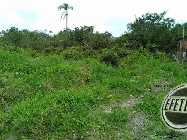 Terreno para Venda em Guaratuba - 5