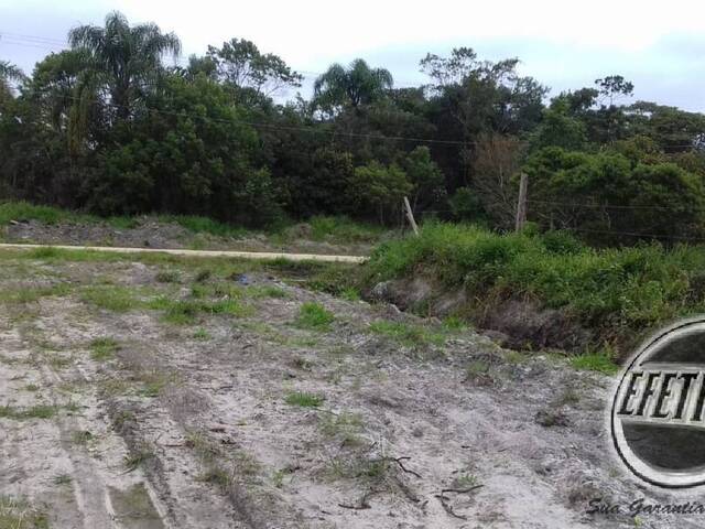 Terreno para Venda em Guaratuba - 4