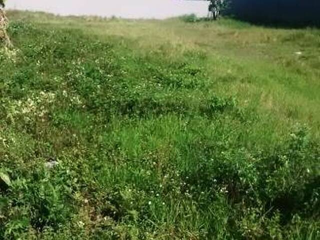 Terreno para Venda em Nereidas - 6