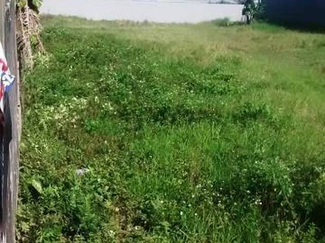 Terreno para Venda em Nereidas - 7