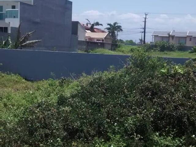 Terreno para Venda em Nereidas - 9