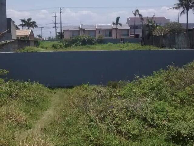 Terreno para Venda em Nereidas - 8