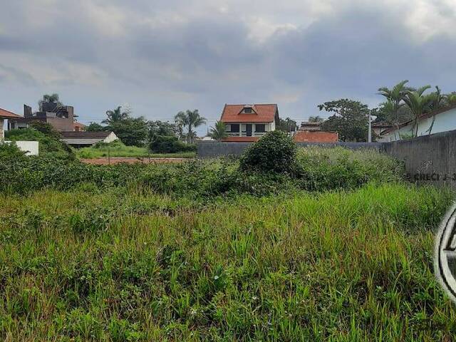 Terreno para Venda em Coroados - 6
