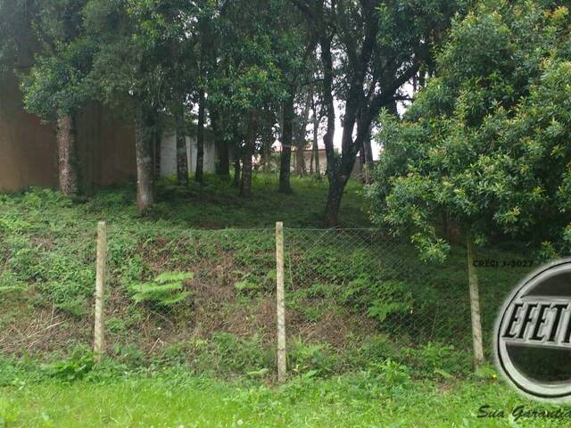 #1036T - Terreno para Venda em Curitiba - PR - 1