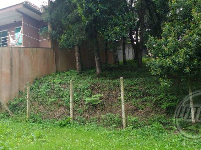 Terreno para Venda em Curitiba - 5
