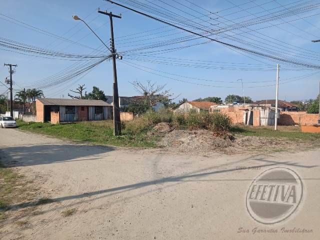Terreno para Venda em Gaivotas - 6