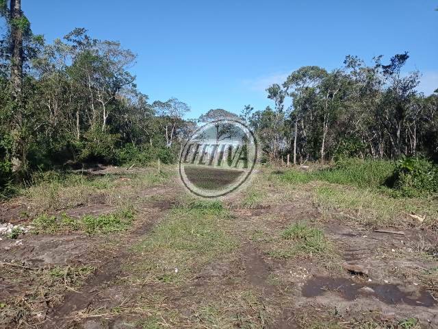 Terreno para Venda em Matinhos - 5