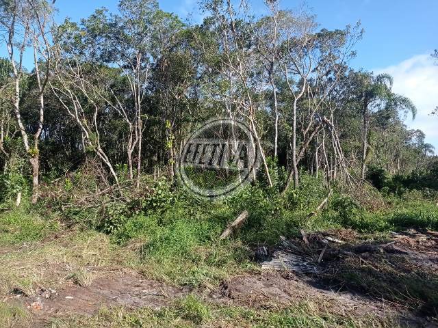 Terreno para Venda em Matinhos - 4