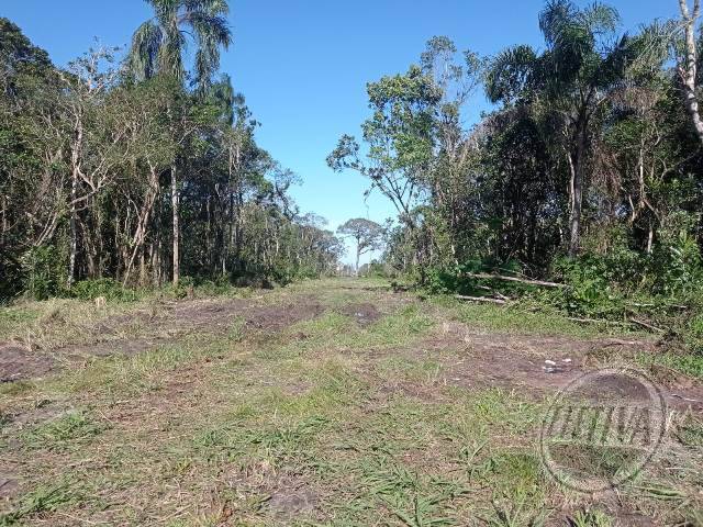 Terreno para Venda em Balneário Betaras - 6
