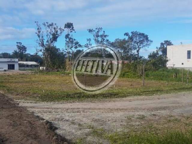 #663T - Terreno para Venda em Matinhos - PR - 1