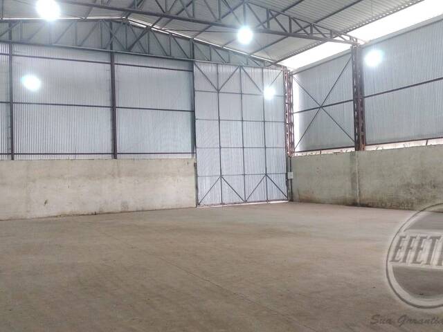 Terreno para Venda em Thomaz Coelho - 13
