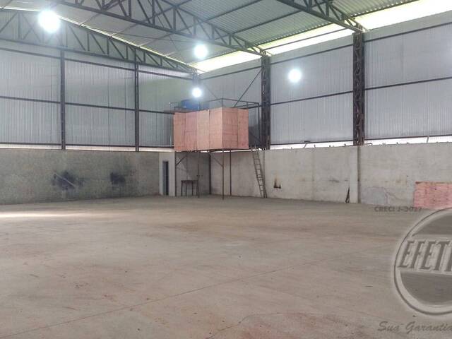 Terreno para Venda em Thomaz Coelho - 12