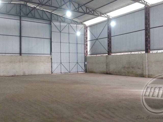 Terreno para Venda em Thomaz Coelho - 14
