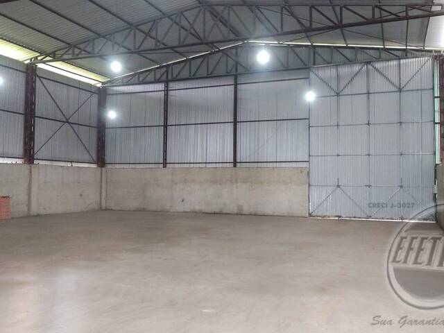 Terreno para Venda em Thomaz Coelho - 16