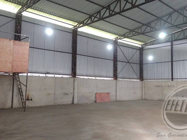Terreno para Venda em Thomaz Coelho - 15