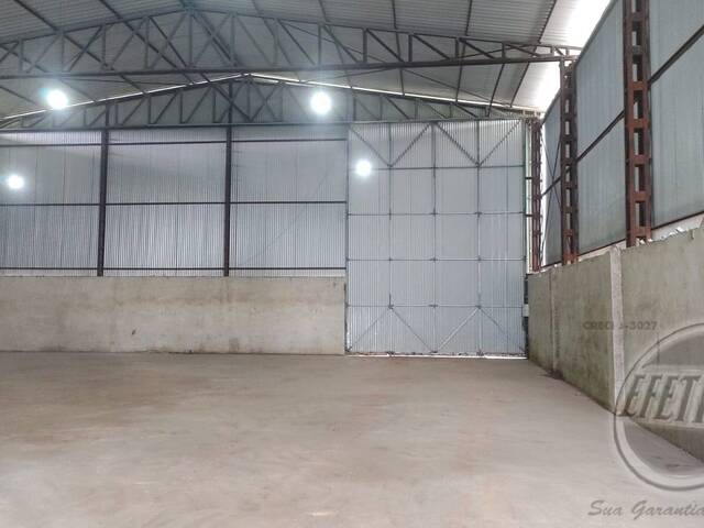 Terreno para Venda em Thomaz Coelho - 17
