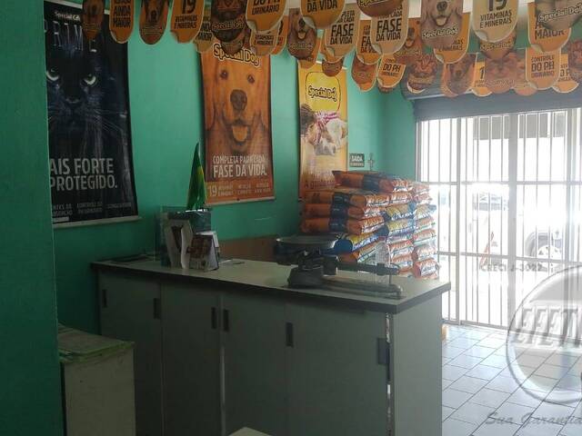 Residência para Venda em Mirim - 29