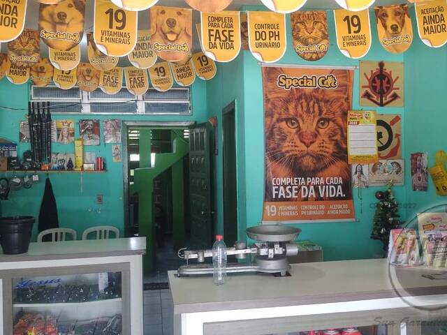 Residência para Venda em Mirim - 27