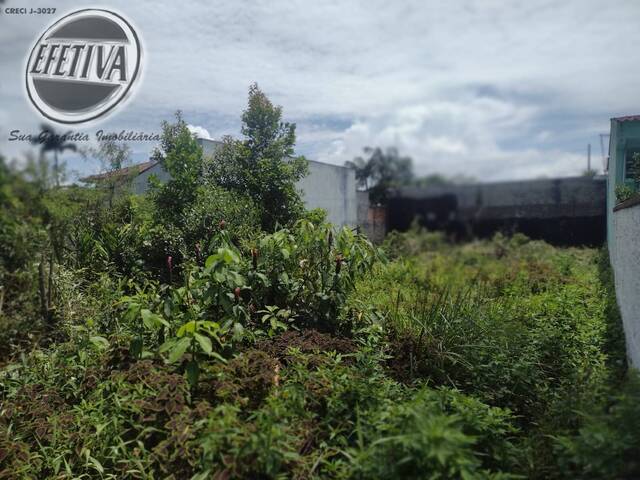 #1044T - Terreno para Venda em Guaratuba - PR - 2