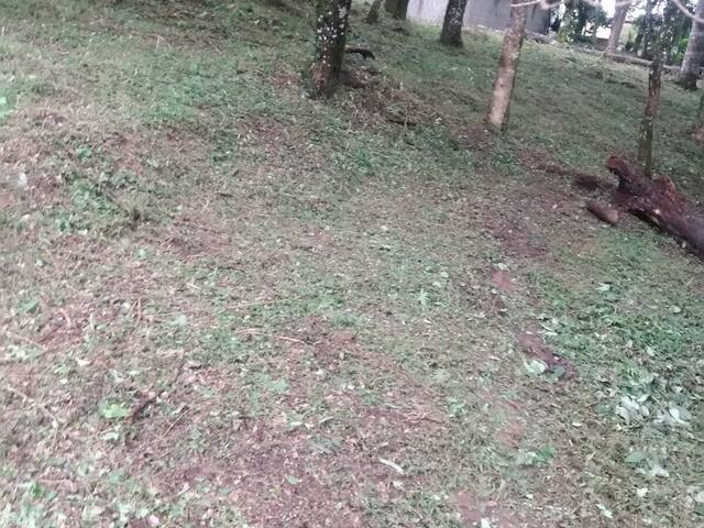 #1036T - Terreno para Venda em Curitiba - PR - 3