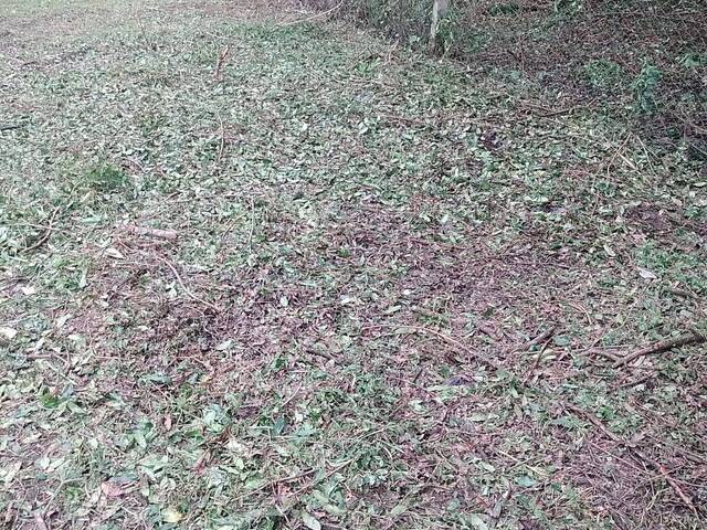 Terreno para Venda em Curitiba - 4
