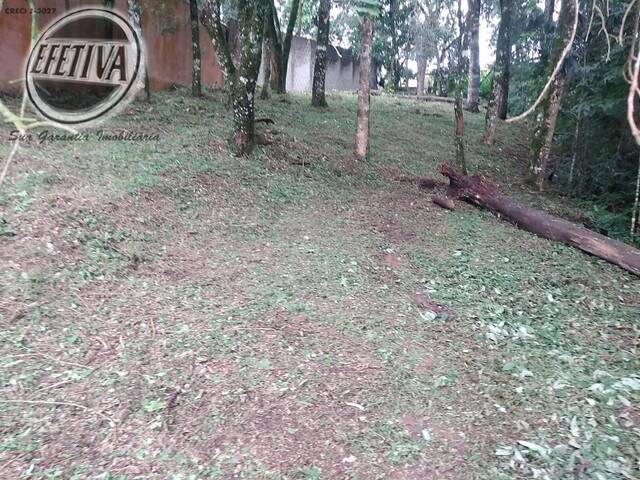#1036T - Terreno para Venda em Curitiba - PR - 2