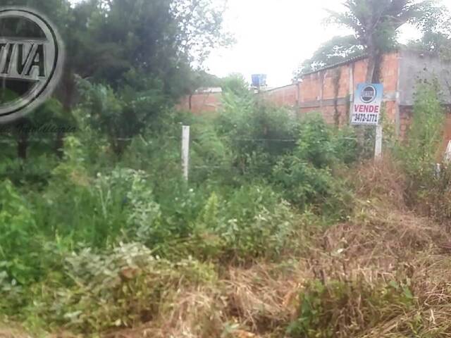#1046T - Terreno para Venda em Guaratuba - PR - 3