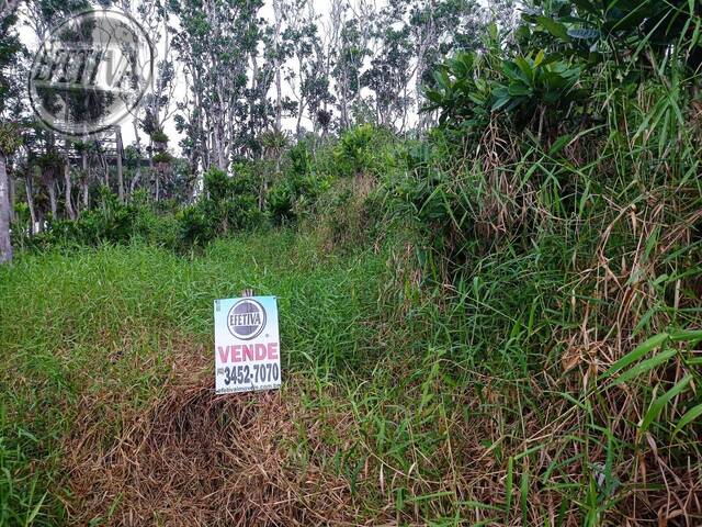 #625T - Terreno para Venda em Matinhos - PR - 1