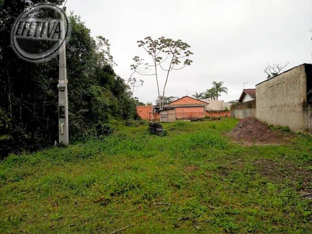 #1050T - Terreno para Venda em Guaratuba - PR - 1