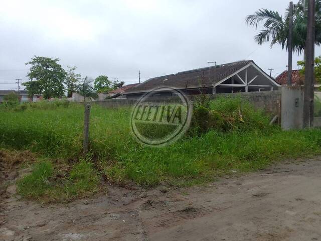 Terreno para Venda em Balneário Jardim Inajá - 7