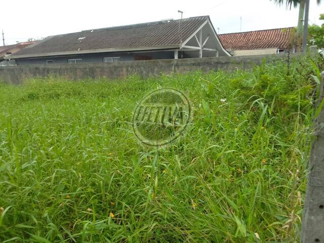 Terreno para Venda em Balneário Jardim Inajá - 6