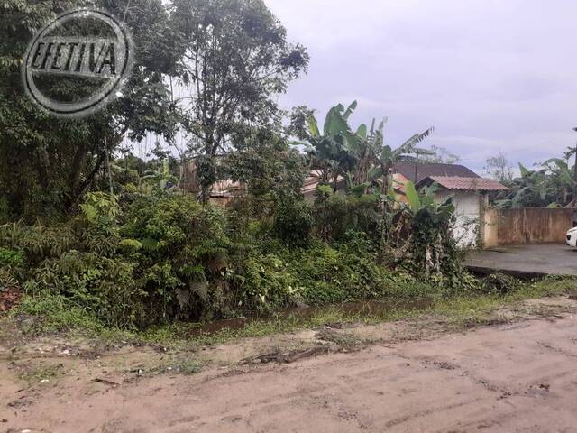 Venda em Nereidas - Guaratuba
