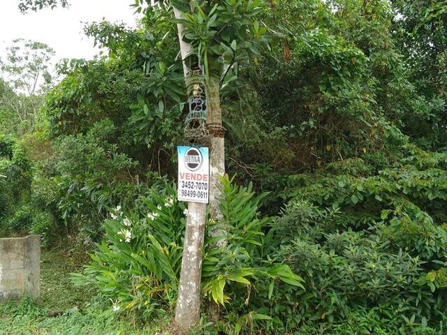 #685T - Área para Venda em Matinhos - PR - 1