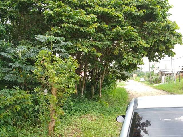 #685T - Terreno para Venda em Matinhos - PR - 3