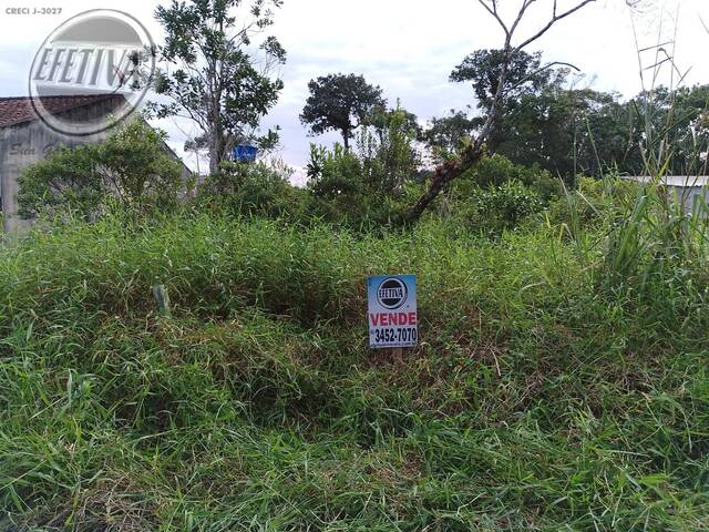 #689T - Terreno para Venda em Matinhos - PR - 2