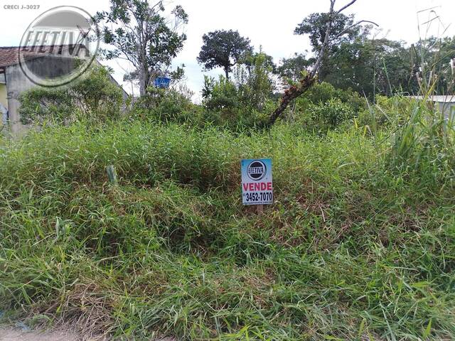 #689T - Terreno para Venda em Matinhos - PR - 1
