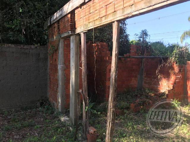 Terreno para Venda em Nereidas - 6