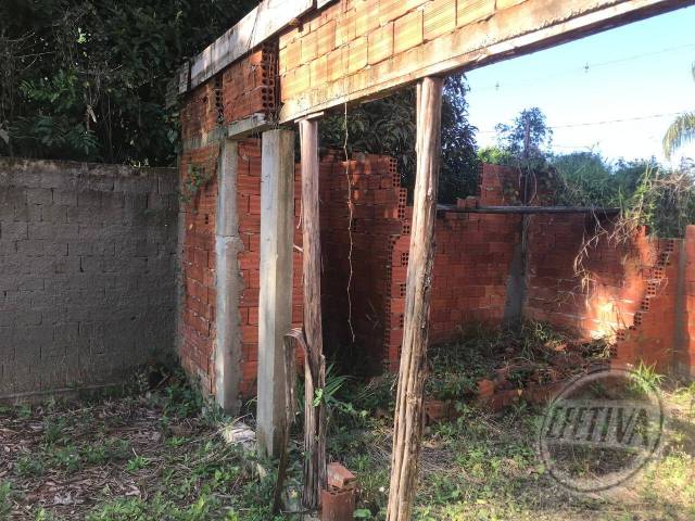 Terreno para Venda em Nereidas - 13