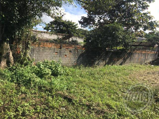 Terreno para Venda em Nereidas - 19