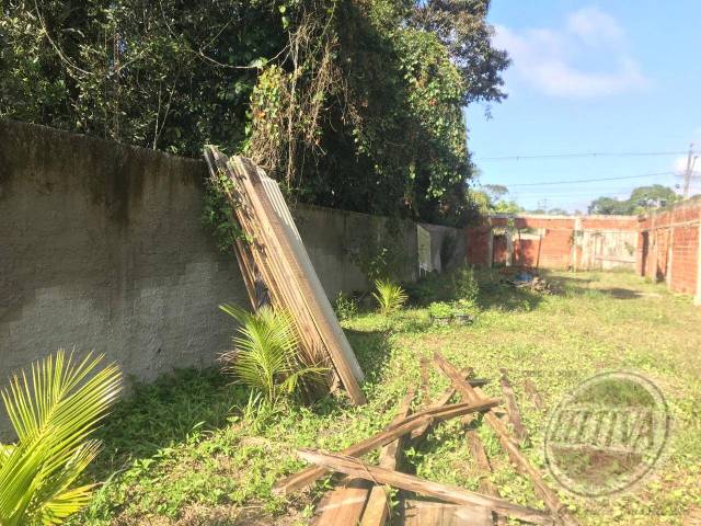 Terreno para Venda em Nereidas - 20